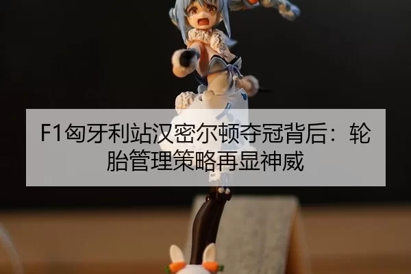 xiong-ya-li-zhan-han-mi-er-dun-duo-guan-bei-hou-lun-tai-guan-li-ce-lve-zai-xian-shen-wei-2-131.jpg