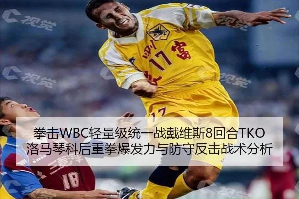 拳击WBC轻量级统一战戴维斯8回合TKO洛马琴科后重拳爆发力与防守反击战术分析