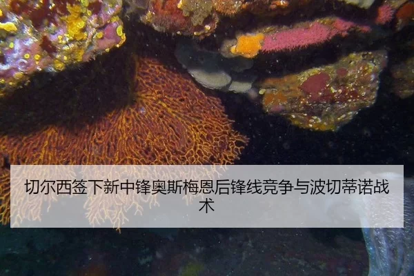 切尔西签下新中锋奥斯梅恩后锋线竞争与波切蒂诺战术